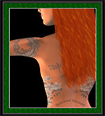 screen shot of the splash page